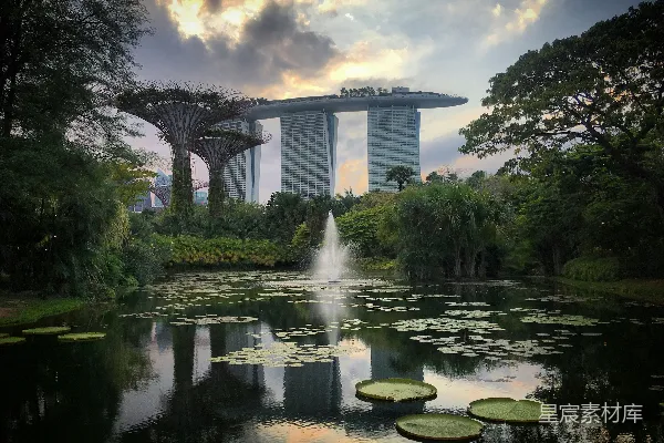 前有高建筑的池塘中有荷花瓣