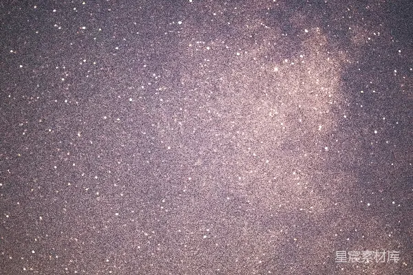 夜空被繁星和树木填满。