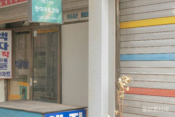 前有一排植物的建筑