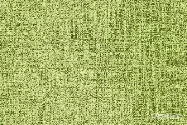 高清摄影 有纹理的浅绿色背景