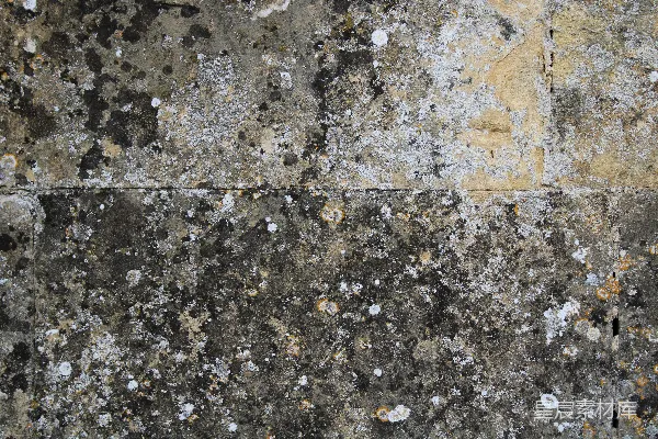 高清摄影 一张水泥墙的特写，墙上有白色斑点。