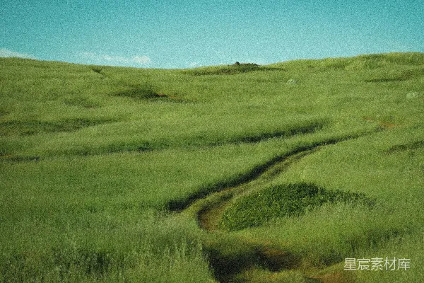 一片草地上有一条泥土小径穿过它