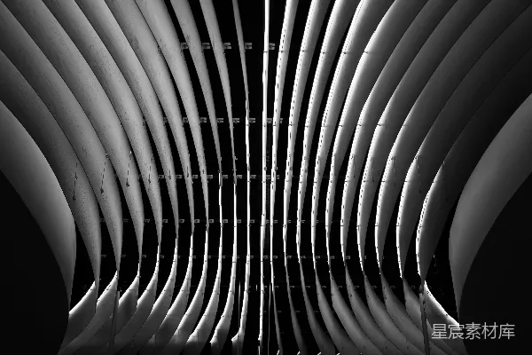 抽象风格以黑色和白色为主的曲线构图。