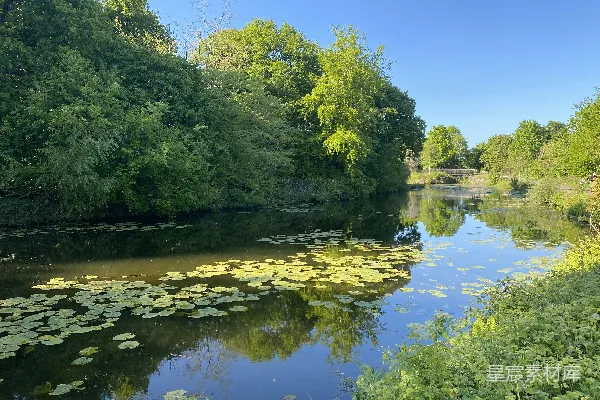 白天绿树傍河蓝天之下