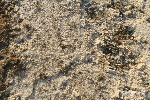 高清摄影 一张泥土表面的特写照片，上面有岩石和泥土。