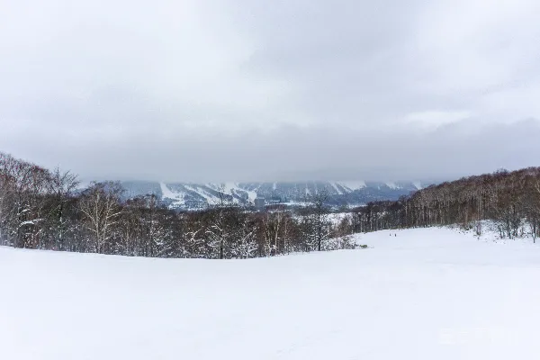 背景中有树木和山的雪景