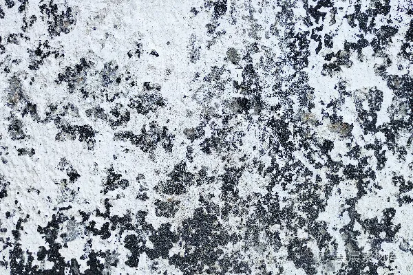 高清摄影 黑白抽象画