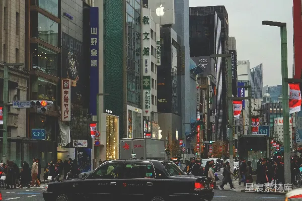 城市里白天道路上的车辆