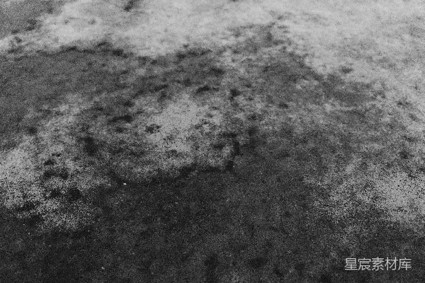 高清摄影 一张黑白照片，地上覆盖着雪。