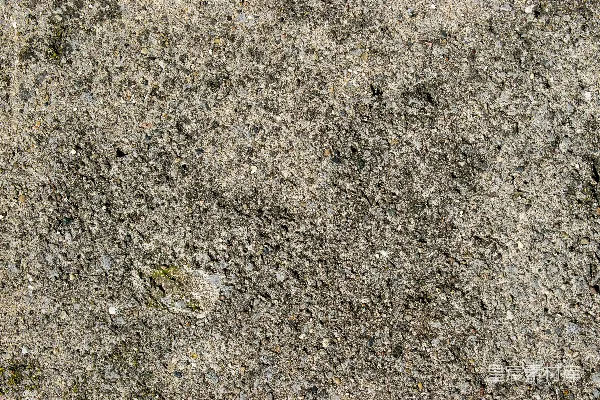 高清摄影 一张水泥表面的特写，上面有小石头。