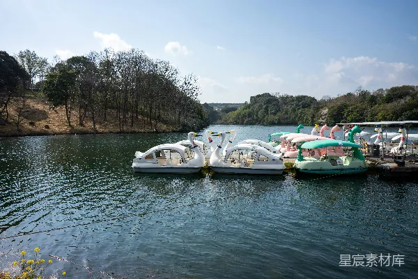 天鹅船停靠在平静的湖上。