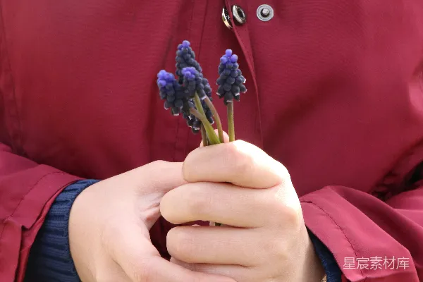 手上有蓝花和红花