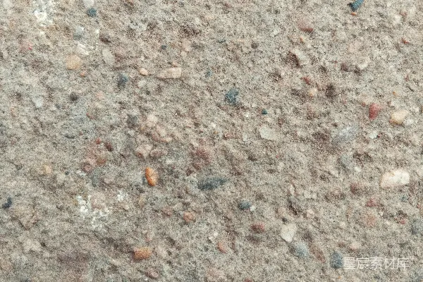 高清摄影 一只鸟在地面上的特写