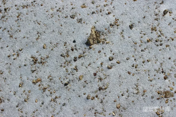 高清摄影 在雪地里鸟的脚印的特写镜头