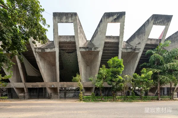 一座大型混凝土建筑前面有树木。