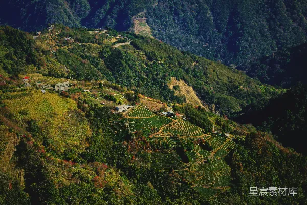 一幅郁郁葱葱山坡的美景