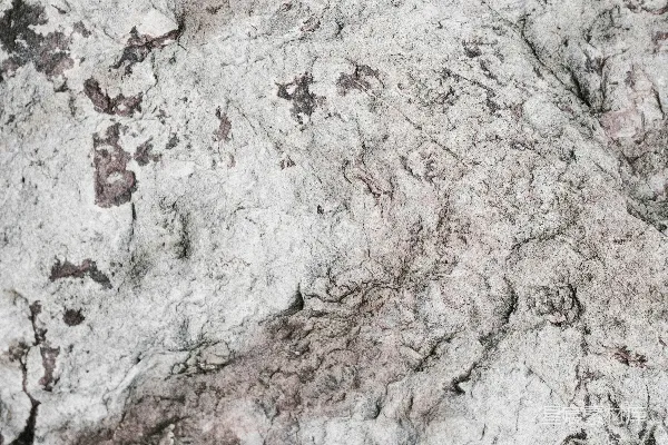 高清摄影 白色和棕色抽象画