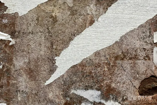 高清摄影 一只鸟栖息在剥落油漆的墙上。