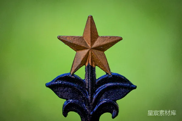 星在黑花上