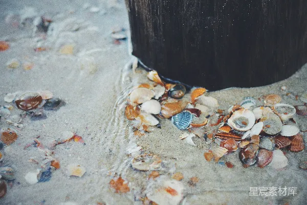 水上的海螺
