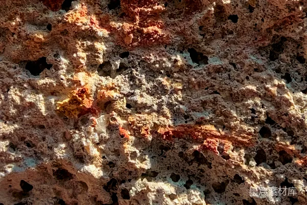 高清摄影 岩石的特写，上面有小孔。