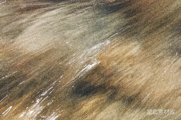 高清摄影 一张模糊的照片，展示了一只鸟在水面上方飞行的场景。