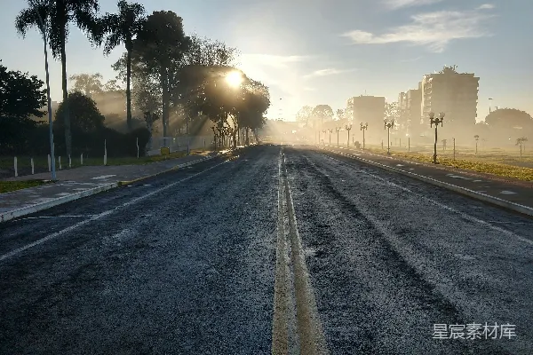 路边有树的道路