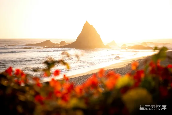 金色的夕阳洒在一块岩石环绕的海滩上，周围点缀着鲜艳的红色花朵。