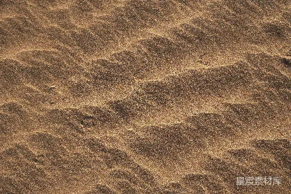 高清摄影 水中的棕色沙子在白天