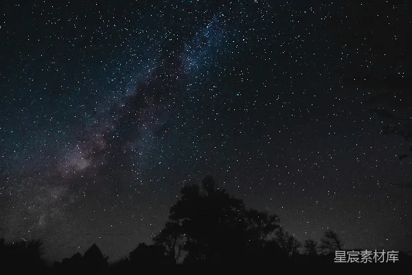 满天繁星的夜空与树木