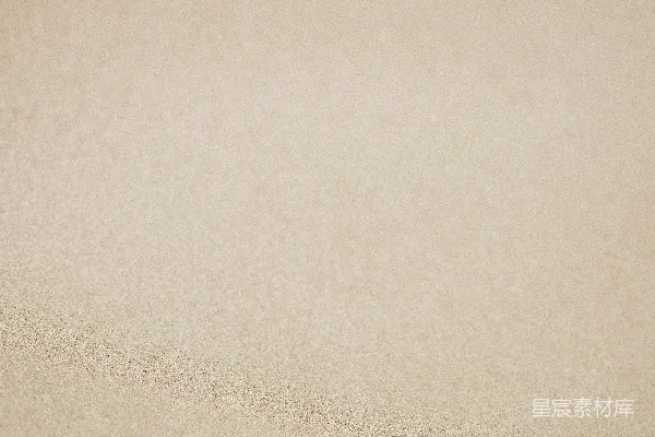 高清摄影 一张沙丘的特写照片，背景模糊。