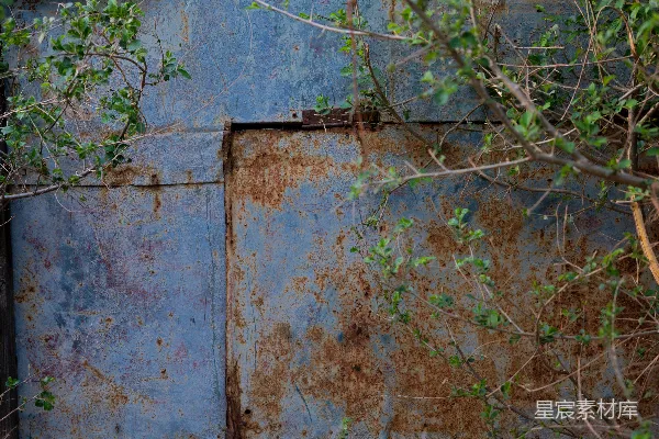 高清摄影 生锈的建筑里长满了植物。