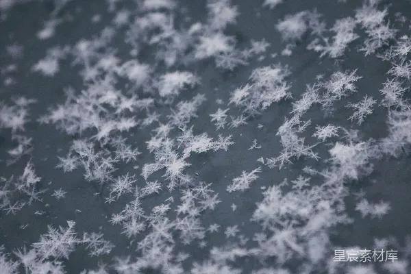 高清摄影 雪花