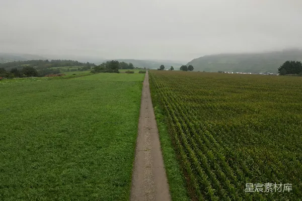 一条绿草地中蜿蜒的小径