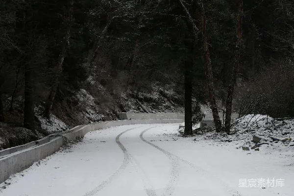 雪覆盖的道路穿过黑暗森林，留有车轮的痕迹。