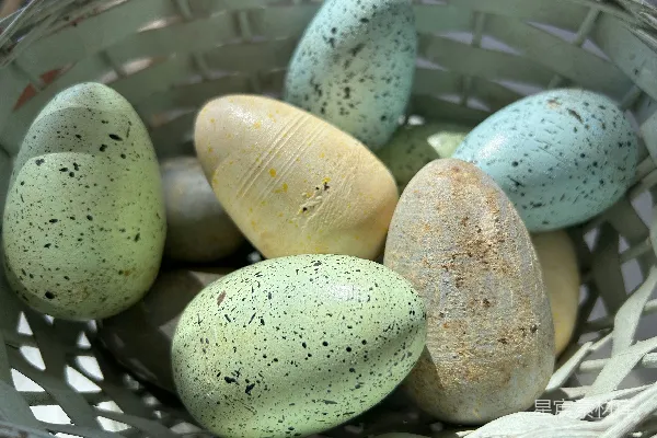 一篮色彩斑斓的小斑 Eggs篮子里装着五彩缤纷且带有小斑点的鸡蛋。