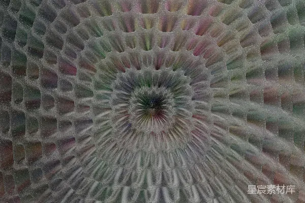 高清摄影 一朵花形物体的特写视图