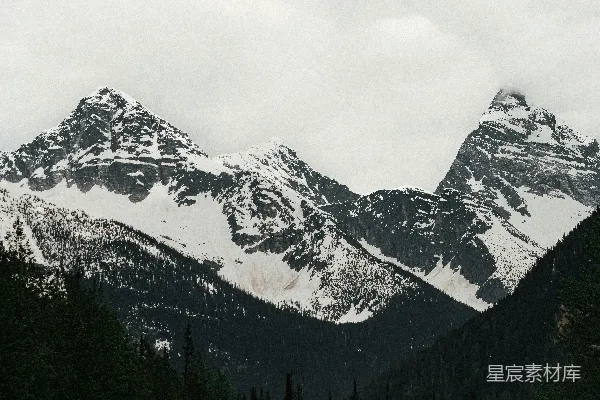 山峦覆盖着白雪，前景有树木。