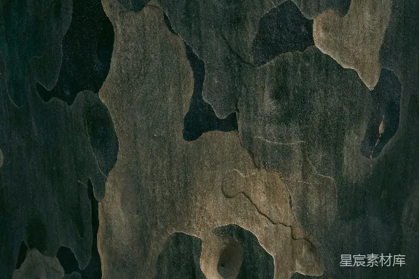 高清摄影 这张图片展示了近景中的树皮纹理。