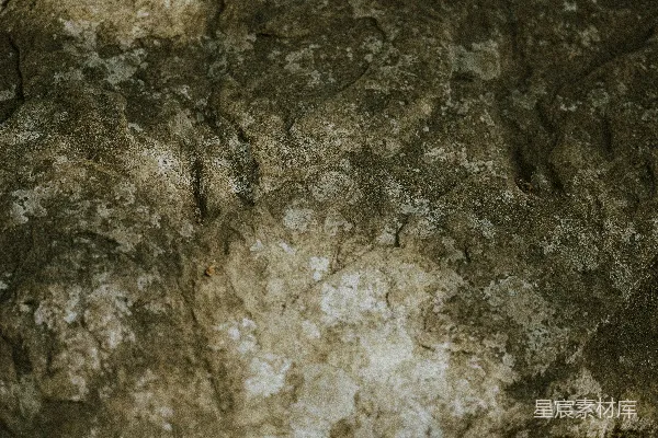 高清摄影 岩石上的特写，上面有一些泥土。