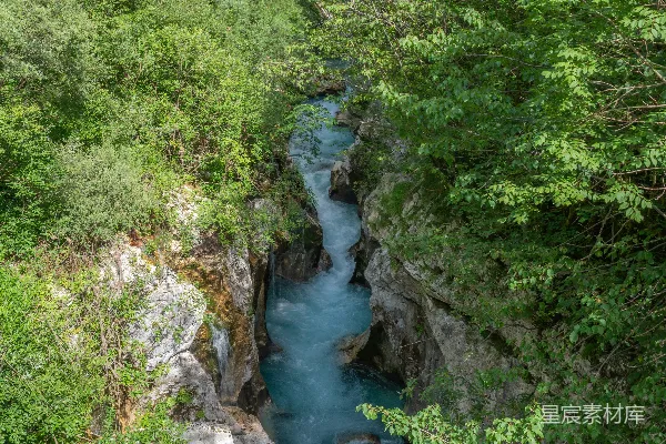 一条河流穿过一片浓密的绿色森林