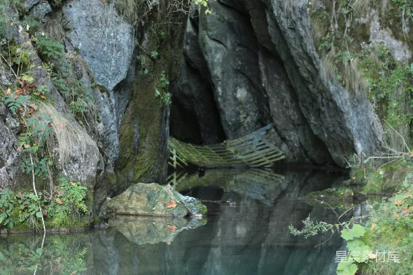 环绕着岩石和绿植的水域
