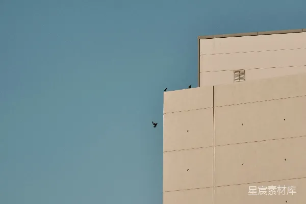 三鸟傍建筑