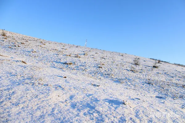 一个滑雪板运动员沿着覆盖着白雪的山坡滑下。