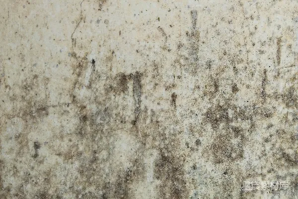 高清摄影 白色和棕色的混凝土地板