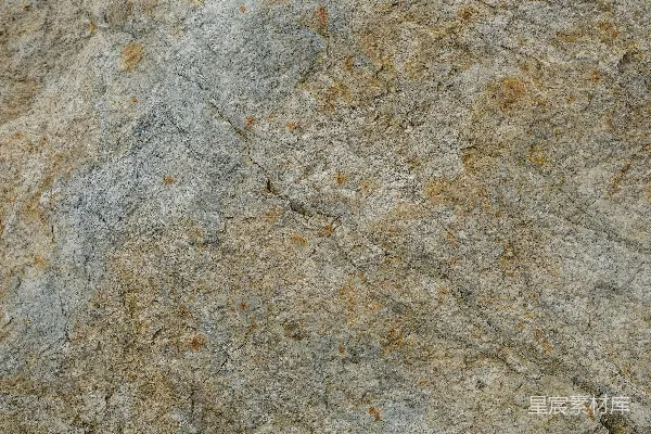 高清摄影 岩石特写，上面有一只鸟。