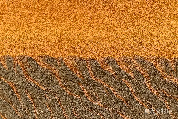 高清摄影 一只鸟在沙漠中沙地上方飞翔