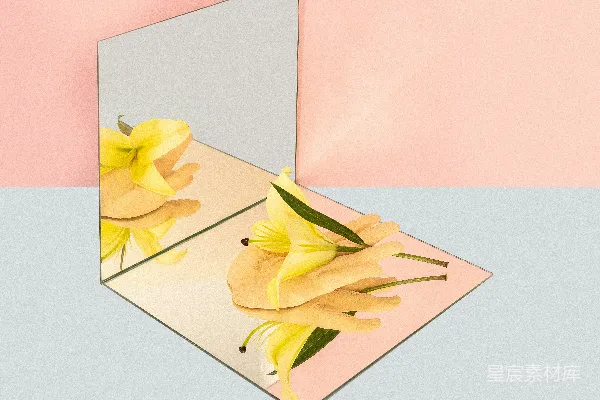 几朵花
