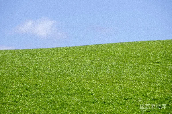 白天绿草地上空蓝天