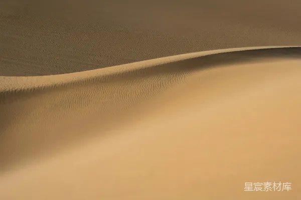 高清摄影 一张沙漠的特写照片